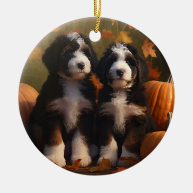 Bernedoodle Puppy Autumn Delight Pumpkin Ceramic Ornament (Front)