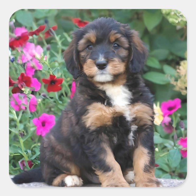 Bernedoodle puppy in petunias square sticker (Front)