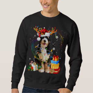 Bernedoodle Reindeer Christmas Lights Funny Dog Xm Sweatshirt