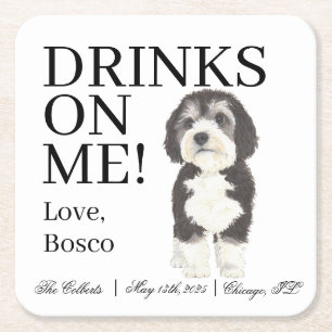 Bernedoodle Sheepadoodle Wedding Square Paper Coaster