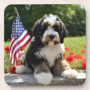 Bernedoodle USA Coasters