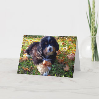Berner Nation greeting card