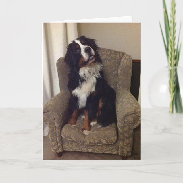 Berner Nation greeting card (Front)