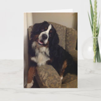 Berner Nation greeting card