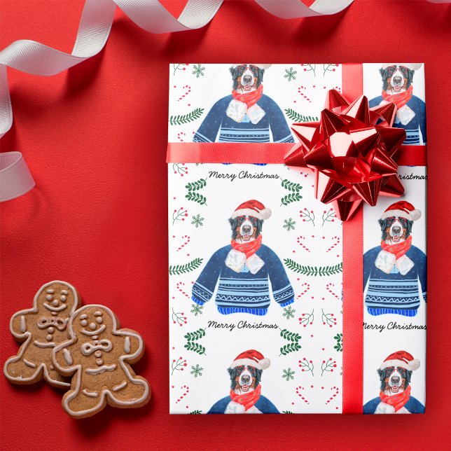 Bernese Dog Wearing Christmas Sweater Festive Wrapping Paper (Creator Uploaded)