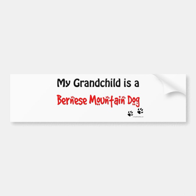 Bernese Grandchild Bumper Sticker (Front)
