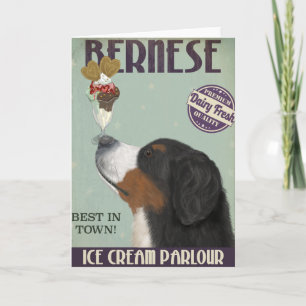 Bernese Ice Cream Card