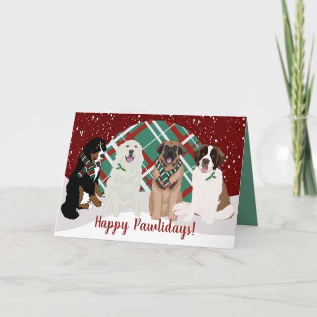 Bernese Leonberger Great Pyrenees St Bernard  Card (Front)