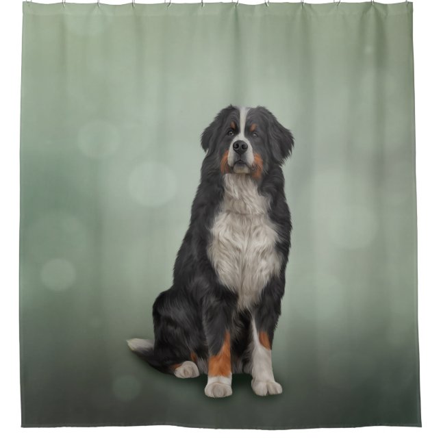 Bernese Mountain Dog (Front)