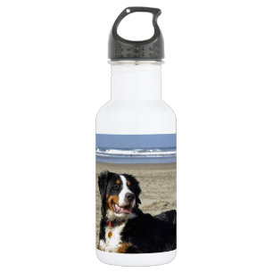 Bernese Mountain Dog 532 Ml Water Bottle