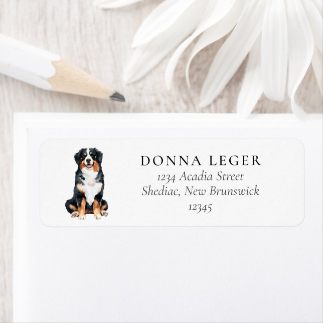 Bernese Mountain Dog Adresse (En situation)