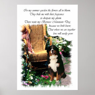 Bernese Mountain Dog Art Print