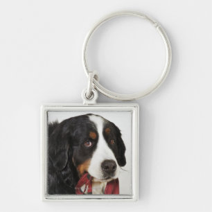 Bernese Mountain Dog (Berner Sennenhund) with Keychain