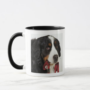 Bernese Mountain Dog (Berner Sennenhund) with Mug