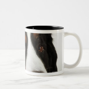 Bernese Mountain Dog (Berner Sennenhund) with Two-Tone Coffee Mug
