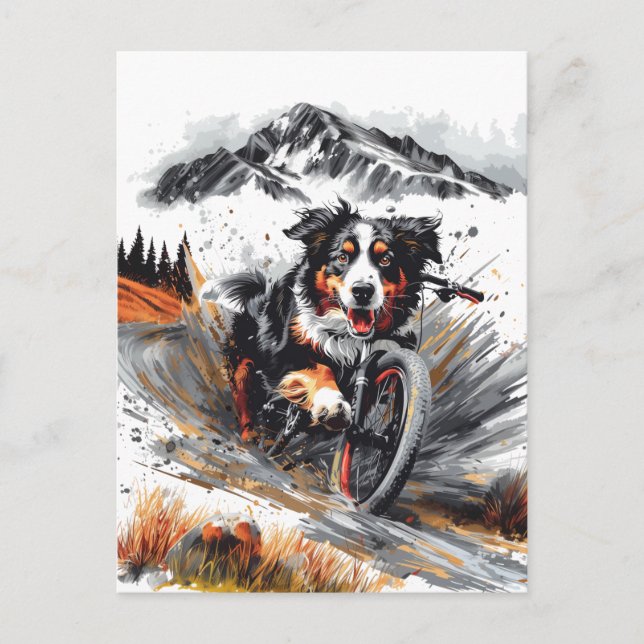 Bernese Mountain Dog Biking In The Mountains Postcard (Front)