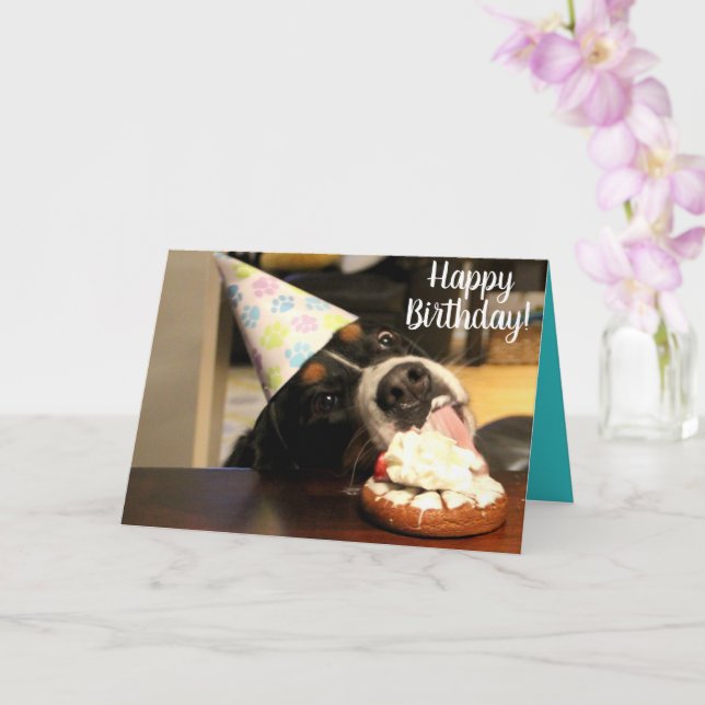 Bernese Mountain Dog Birthday Card (Orchid)