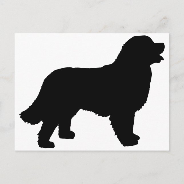 Bernese Mountain Dog (black silhouette) Postcard (Front)