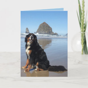 Bernese Mountain Dog Cannon Beach Holiday Card