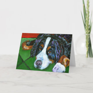 "Bernese Mountain Dog" Cards