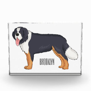 Bernese mountain dog cartoon illustration photo block