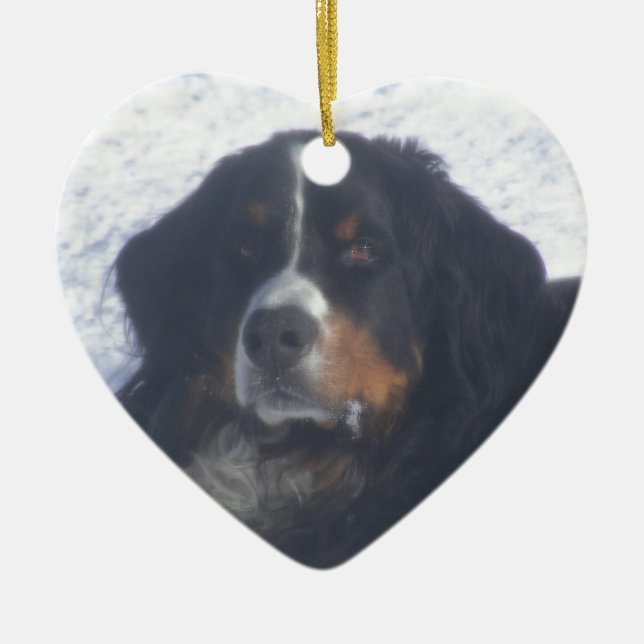 Bernese Mountain Dog Ceramic Ornament (Front)