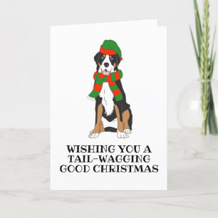 bernese mountain dog christmas cards