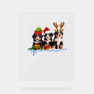 Bernese Mountain Dog Christmas Cute Acrylic Sign
