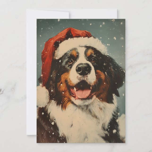 Bernese mountain dog christmas  holiday card (Front)