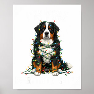 Bernese Mountain Dog Christmas I'm Fine Everything Poster