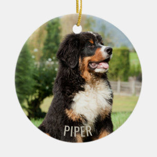 Bernese Mountain Dog Christmas Ornament