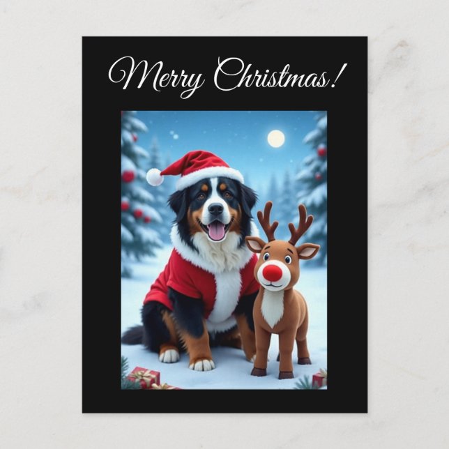 Bernese Mountain Dog Christmas  Postcard (Front)