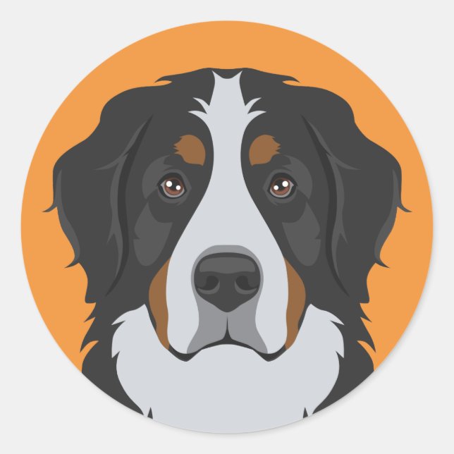 Bernese Mountain Dog Classic Round Sticker (Front)