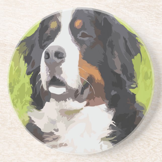 Bernese mountain dog coaster (Front)