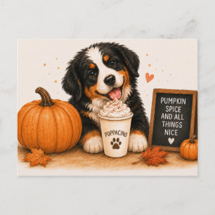 Bernese Mountain Dog Cozy Pumpkin Spice Postcard