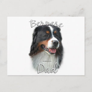 Bernese Mountain Dog Dad 2 Postcard