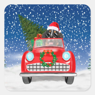 Bernese Mountain Dog Driving Car In Snow Christmas Square Sticker