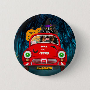 Bernese Mountain Dog Driving Car Scary Halloween 2 Inch Round Button