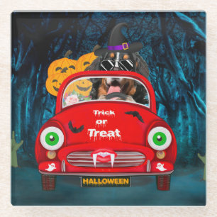 Bernese Mountain Dog Driving Car Scary Halloween Glass Coaster