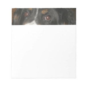 Bernese Mountain Dog Eyes Notepad