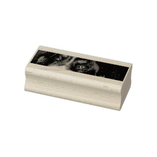Bernese Mountain Dog Eyes Rubber Stamp