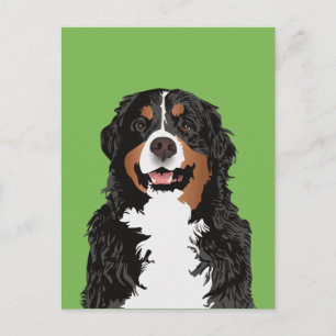 BERNESE MOUNTAIN DOG FOR BERNESE MOUNTAIN PARENT POSTCARD