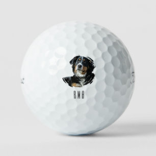 Bernese Mountain Dog Golf Balls