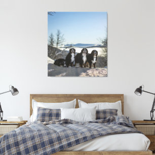 bernese mountain dog group canvas print