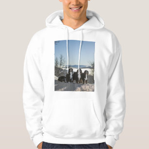 bernese mountain dog group   hoodie