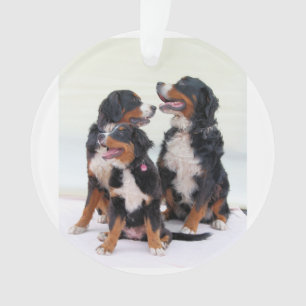 bernese mountain dog group ornament