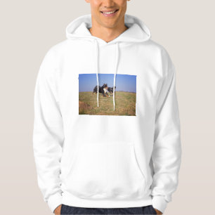 bernese mountain dog group second hoodie