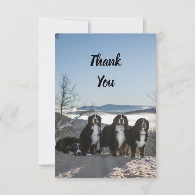 bernese mountain dog group   thank you card (Front)