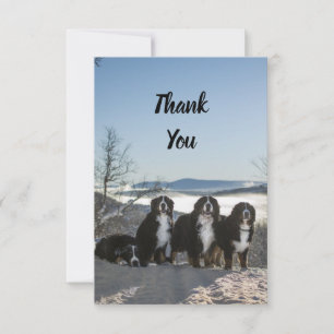 bernese mountain dog group thank you card