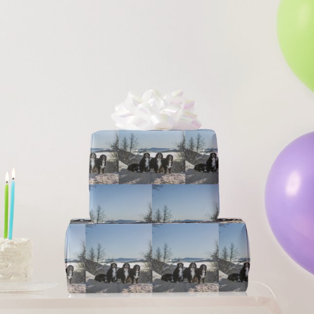 bernese mountain dog group   wrapping paper (Party Gifts)